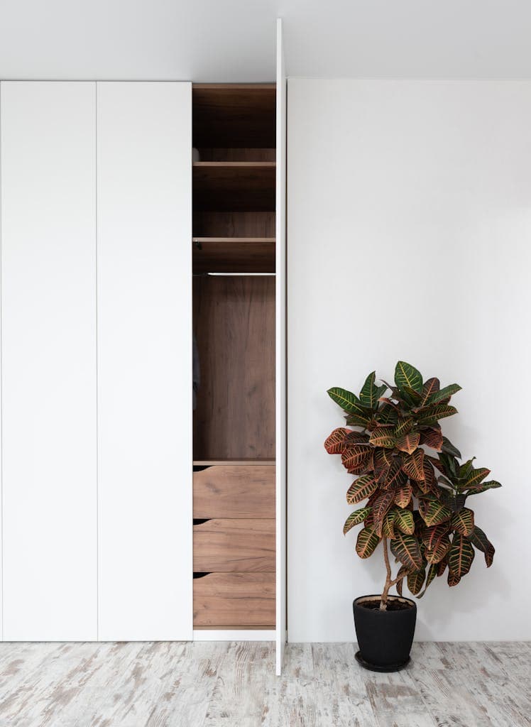 Potted Codiaeum variegatum plant placed near wardrobe in room