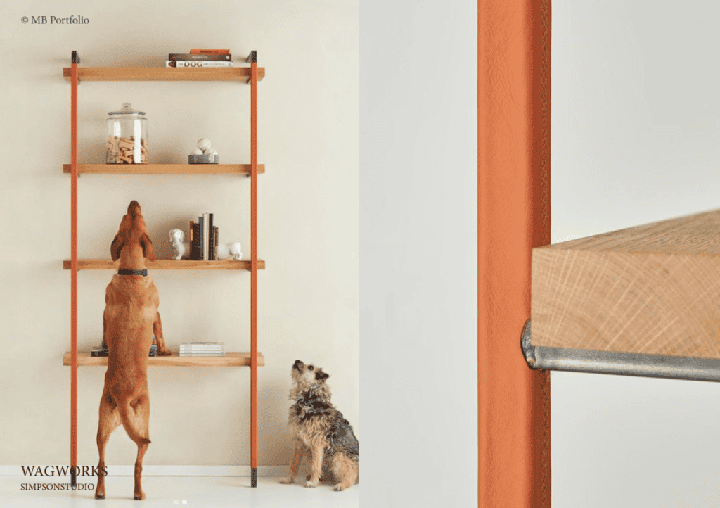 Two dogs in a living room, one standing on hind legs reaching towards a high shelf, the other watching. shelves hold books and jars against an orange wall.